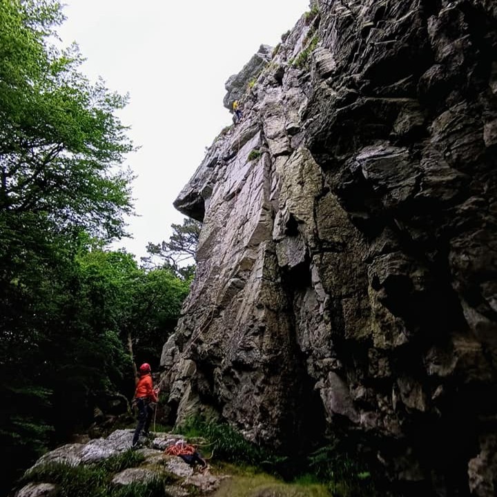 Falaise de Plougastel