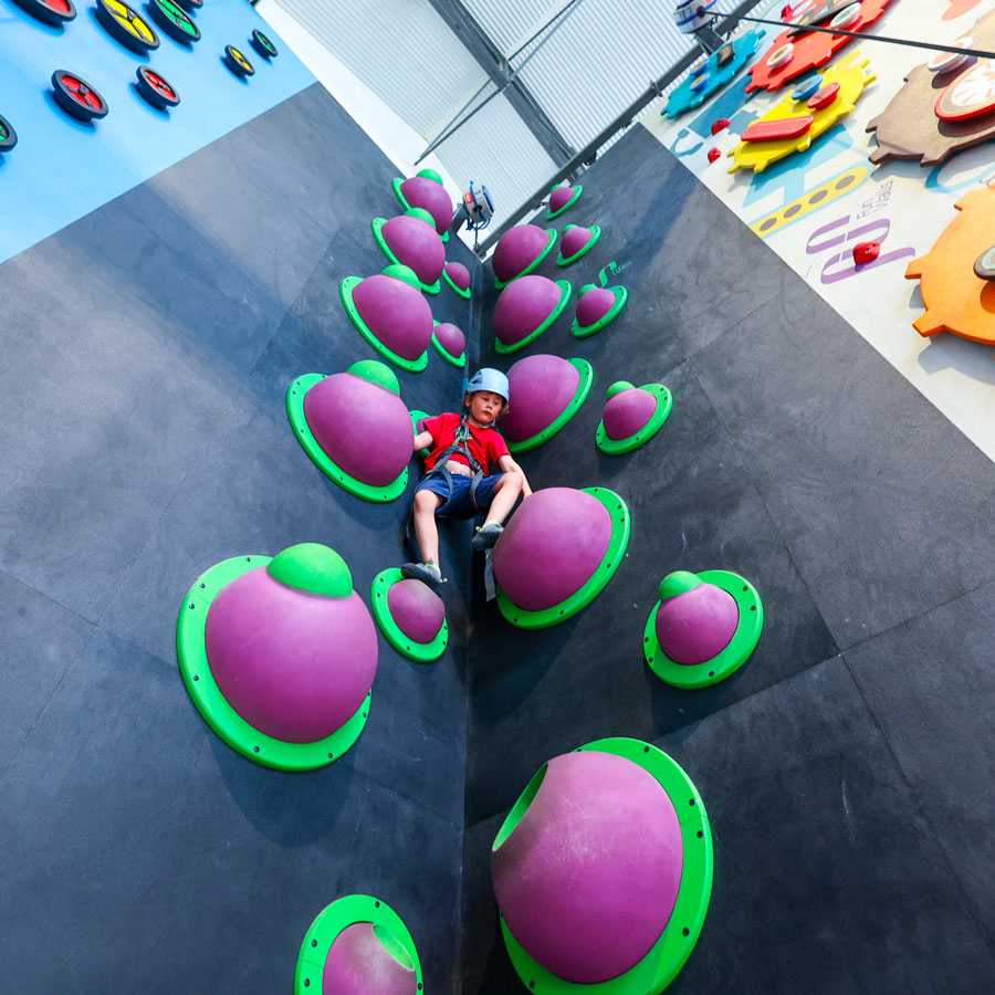 Fun climbing, activité ludique